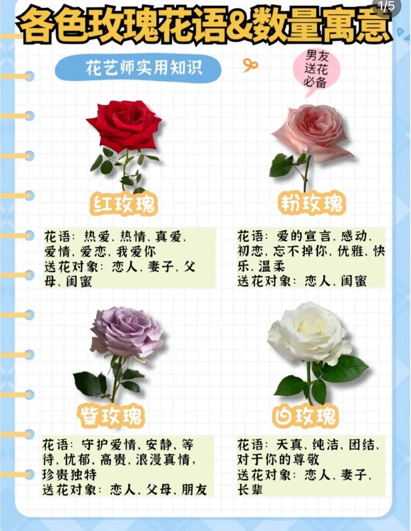 37支鲜花什么寓意(37支鲜花什么寓意啊)-第6张图片-花花知道网 37支鲜花什么寓意(37支鲜花什么寓意啊)-第6张图片-花花知道网