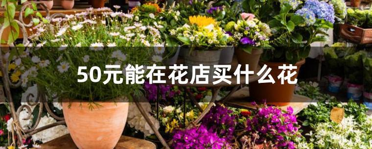 50元包的鲜花寓意(50元包的鲜花寓意是什么)-第5张图片-花花知道网 50元包的鲜花寓意(50元包的鲜花寓意是什么)-第5张图片-花花知道网