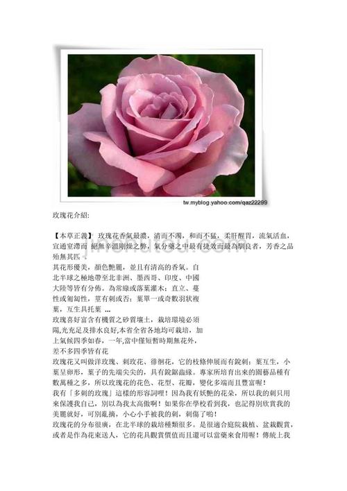 9朵红色鲜花花束寓意着什么(9朵红玫瑰花代表的含义)-第2张图片-花花知道网 9朵红色鲜花花束寓意着什么(9朵红玫瑰花代表的含义)-第2张图片-花花知道网