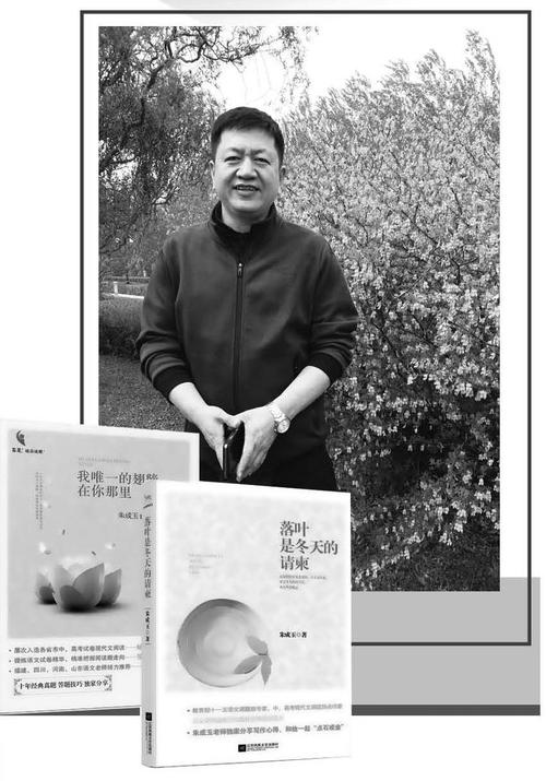 11朵欢乐颂鲜花的寓意(欢乐颂花多少钱一束)-第6张图片-花花知道网 11朵欢乐颂鲜花的寓意(欢乐颂花多少钱一束)-第6张图片-花花知道网