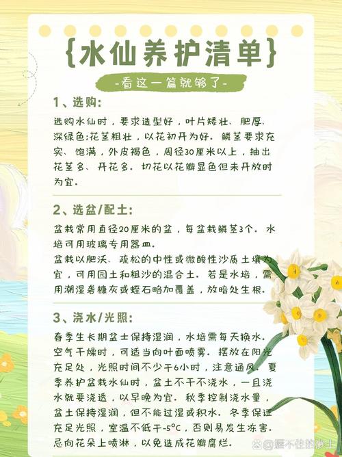 如何让水仙多开花(怎么能让水仙开花)-第1张图片-花花知道网 如何让水仙多开花(怎么能让水仙开花)-第1张图片-花花知道网