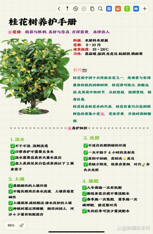 桂花如何修剪开花多(桂花怎样修剪开花多)-第4张图片-花花知道网 桂花如何修剪开花多(桂花怎样修剪开花多)-第4张图片-花花知道网