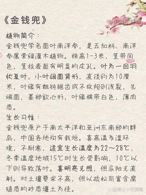 金钱兜的扦插繁殖(金钱兜繁殖方法图解)-第3张图片-花花知道网 金钱兜的扦插繁殖(金钱兜繁殖方法图解)-第3张图片-花花知道网