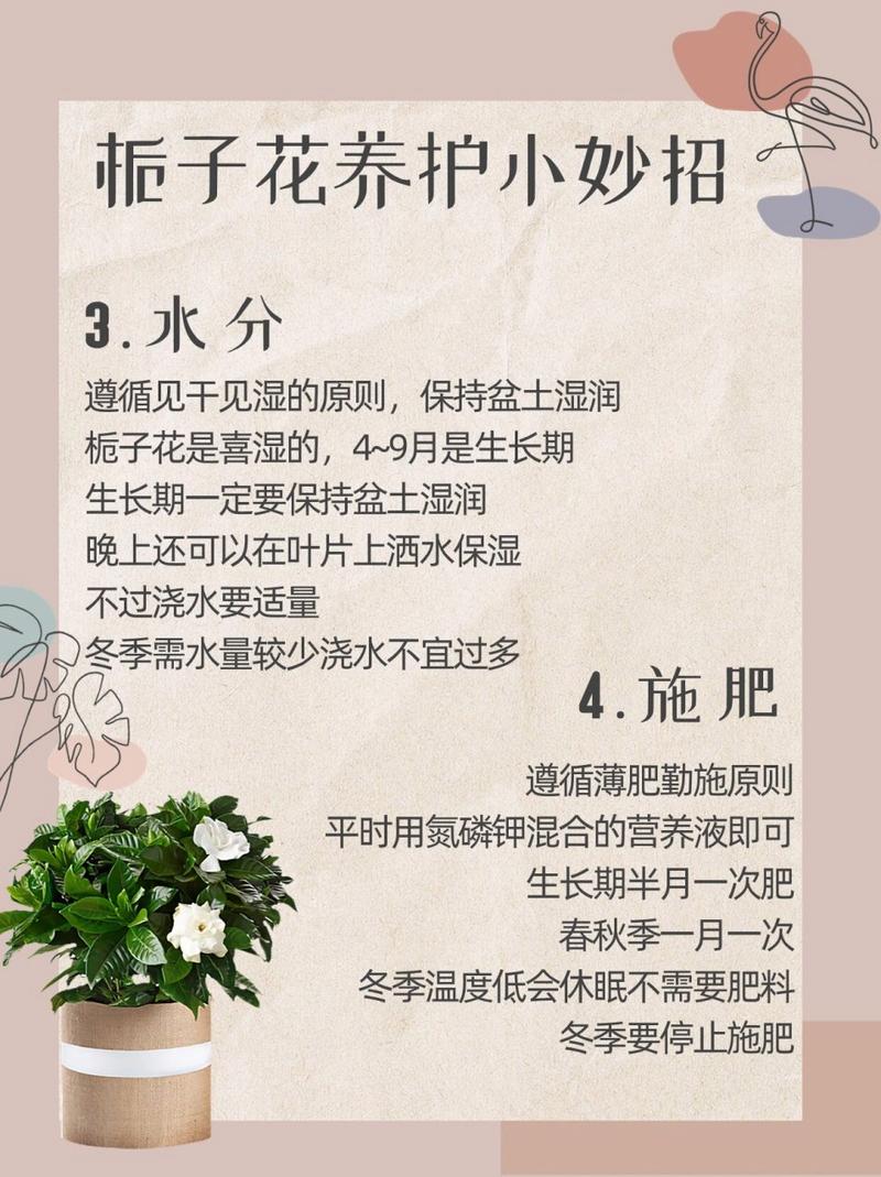 北方如何养栀子花(北方养栀子花好养吗)-第4张图片-花花知道网 北方如何养栀子花(北方养栀子花好养吗)-第4张图片-花花知道网