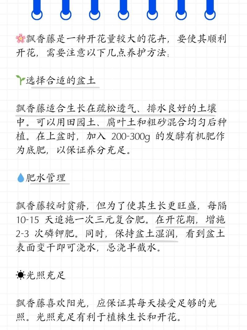 飘香藤怎么养长得好长得茂盛(飘香藤怎么养家庭养法)-第3张图片-花花知道网 飘香藤怎么养长得好长得茂盛(飘香藤怎么养家庭养法)-第3张图片-花花知道网
