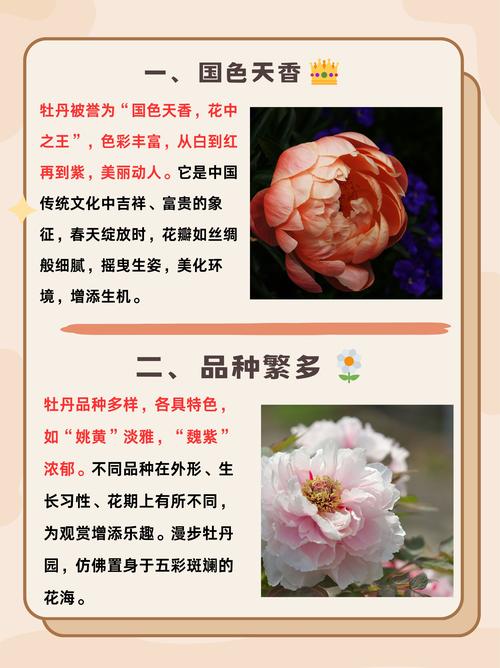 牡丹国色天香(牡丹国色天香香烟费用)-第5张图片-花花知道网 牡丹国色天香(牡丹国色天香香烟费用)-第5张图片-花花知道网