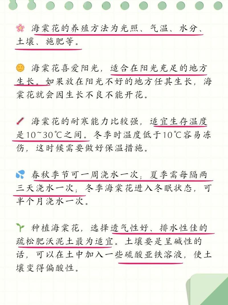 如何判断盆栽四季海棠该浇水了(四季海棠如何浇水?)-第3张图片-花花知道网 如何判断盆栽四季海棠该浇水了(四季海棠如何浇水?)-第3张图片-花花知道网