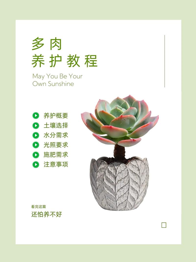 多肉也要贴秋膘(多肉秋天要施肥什么肥料)-第6张图片-花花知道网 多肉也要贴秋膘(多肉秋天要施肥什么肥料)-第6张图片-花花知道网