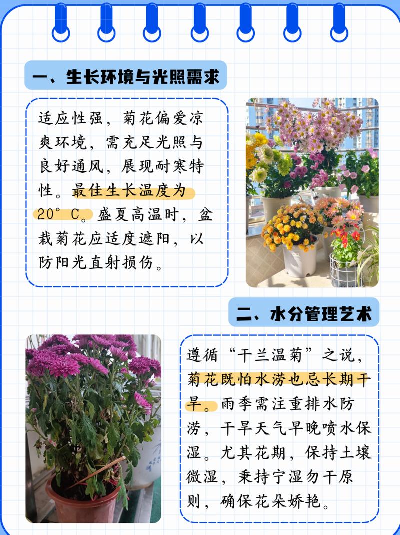 剪夏罗怎么养(夏剪的方法)-第1张图片-花花知道网 剪夏罗怎么养(夏剪的方法)-第1张图片-花花知道网