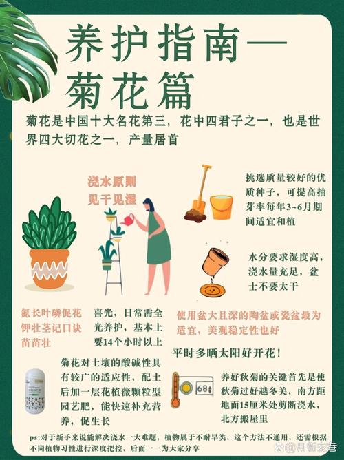 剪夏罗怎么养(夏剪的方法)-第2张图片-花花知道网 剪夏罗怎么养(夏剪的方法)-第2张图片-花花知道网