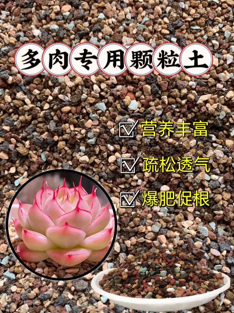 多肉的土可以种绿萝吗(多肉土可以用来栽绿萝吗)-第2张图片-花花知道网 多肉的土可以种绿萝吗(多肉土可以用来栽绿萝吗)-第2张图片-花花知道网