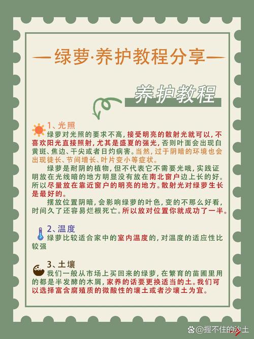 多肉的土可以种绿萝吗(多肉土可以用来栽绿萝吗)-第5张图片-花花知道网 多肉的土可以种绿萝吗(多肉土可以用来栽绿萝吗)-第5张图片-花花知道网