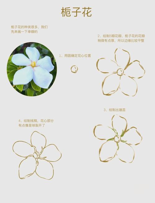 怎样让栀子花快开花(怎么样让栀子花快点开花)-第3张图片-花花知道网 怎样让栀子花快开花(怎么样让栀子花快点开花)-第3张图片-花花知道网