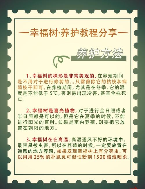 幸福树怎么养殖(幸福树怎么养殖比较好)-第2张图片-花花知道网 幸福树怎么养殖(幸福树怎么养殖比较好)-第2张图片-花花知道网