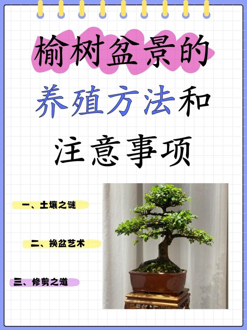 榆树的养殖方法和注意事项(榆树怎么养活)-第4张图片-花花知道网 榆树的养殖方法和注意事项(榆树怎么养活)-第4张图片-花花知道网
