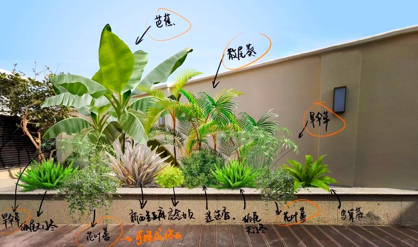 怎么延长美人蕉的花期(美人蕉怎么栽)-第5张图片-花花知道网 怎么延长美人蕉的花期(美人蕉怎么栽)-第5张图片-花花知道网