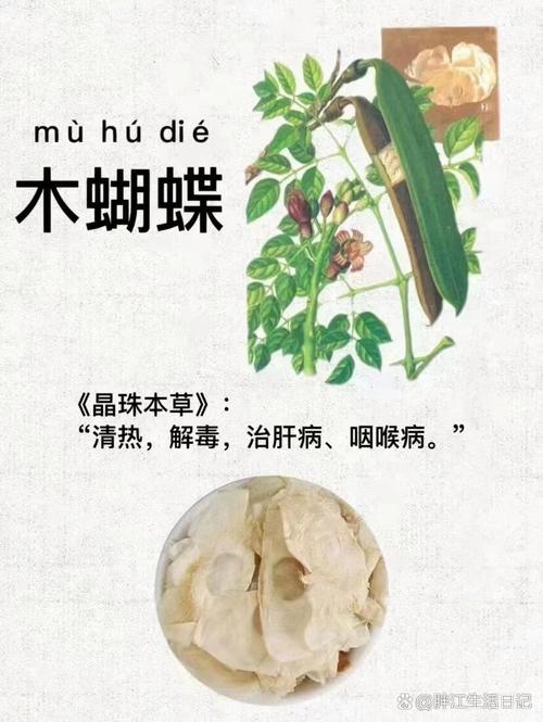 木蝴蝶怎么播种(木蝴蝶怎么播种的)-第3张图片-花花知道网 木蝴蝶怎么播种(木蝴蝶怎么播种的)-第3张图片-花花知道网