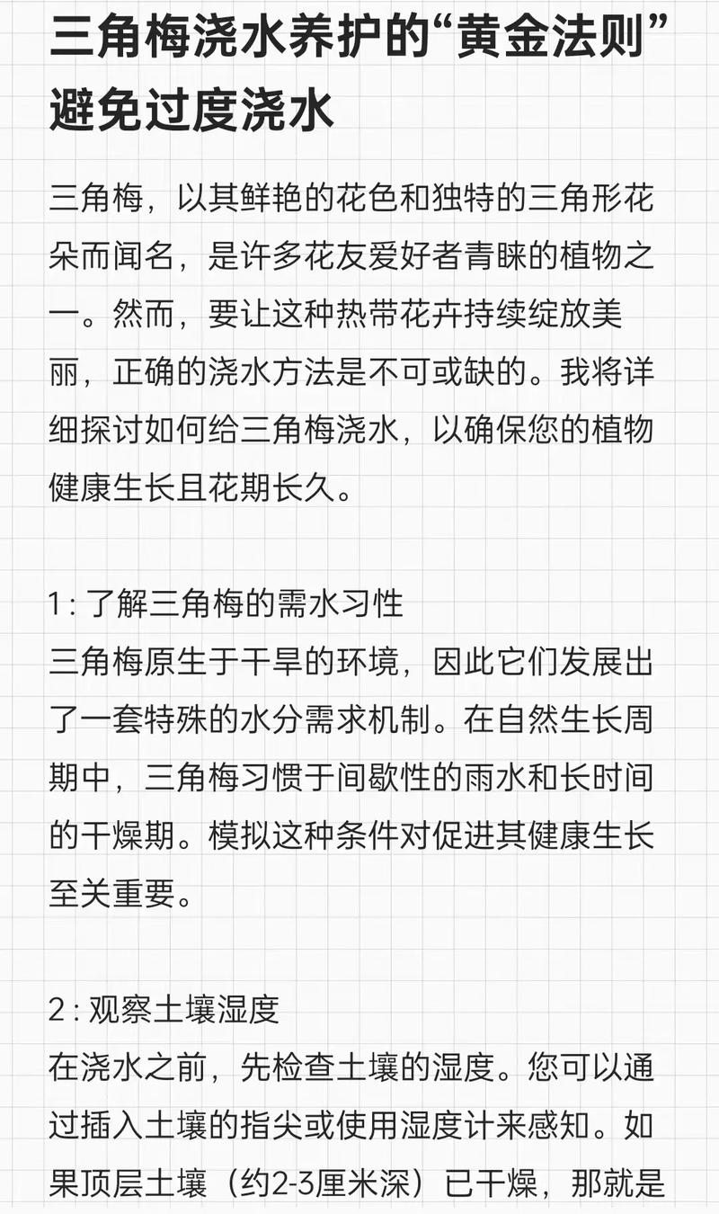 三角梅花期管理方法(三角梅花期注意事项)-第4张图片-花花知道网 三角梅花期管理方法(三角梅花期注意事项)-第4张图片-花花知道网