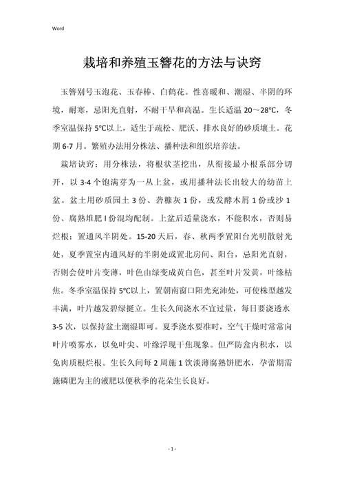 玉簪花怎么养爆盆(玉簪花的种植与栽培)-第1张图片-花花知道网 玉簪花怎么养爆盆(玉簪花的种植与栽培)-第1张图片-花花知道网