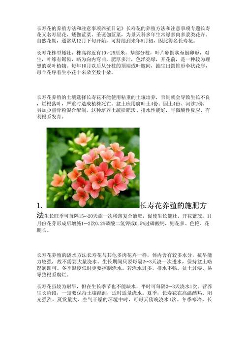 长寿花怎么养长得旺(长寿花怎么养长的快)-第3张图片-花花知道网 长寿花怎么养长得旺(长寿花怎么养长的快)-第3张图片-花花知道网