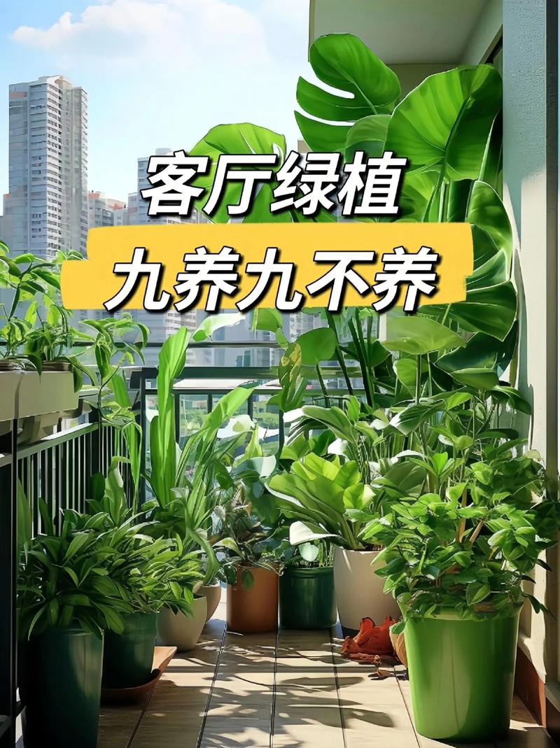绿元宝叶子下垂怎么办（绿元宝叶子下垂怎么办呢）-第2张图片-花花知道网