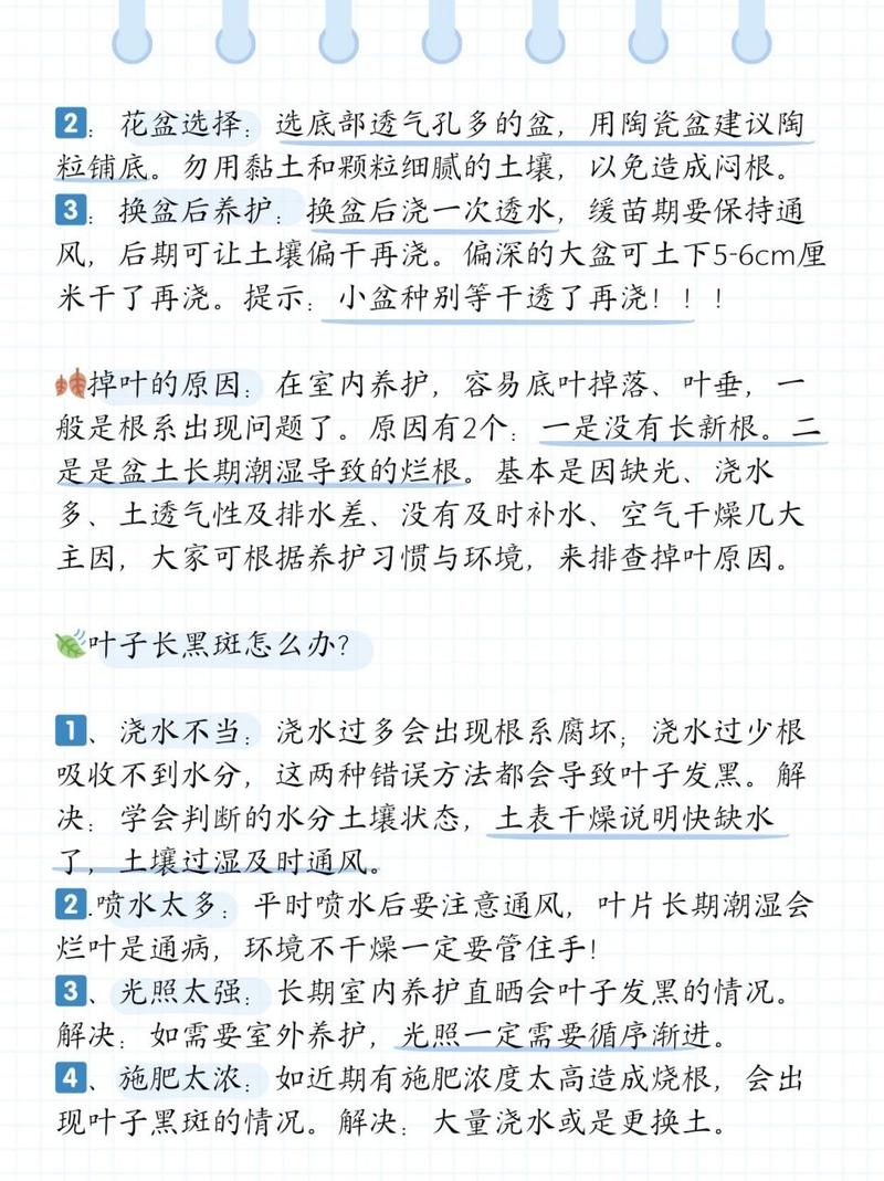橡皮树秋天怎么养(橡皮树秋天怎么养护和浇水)-第4张图片-花花知道网 橡皮树秋天怎么养(橡皮树秋天怎么养护和浇水)-第4张图片-花花知道网