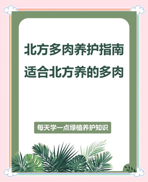 北方多肉冬天怎么办(北方多肉如何过冬)-第5张图片-花花知道网 北方多肉冬天怎么办(北方多肉如何过冬)-第5张图片-花花知道网