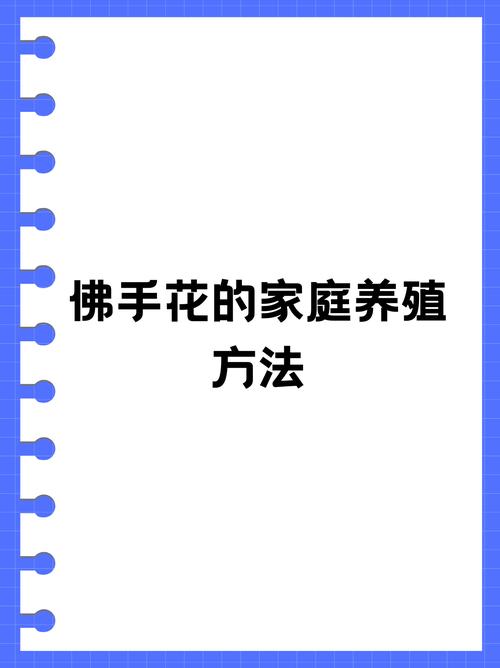 佛手掌的养殖方法(佛手的养植方法和注意事项)-第1张图片-花花知道网 佛手掌的养殖方法(佛手的养植方法和注意事项)-第1张图片-花花知道网