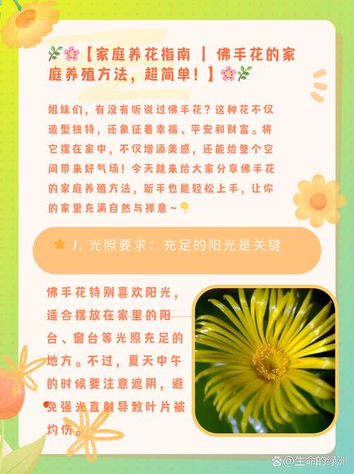 佛手掌的养殖方法(佛手的养植方法和注意事项)-第3张图片-花花知道网 佛手掌的养殖方法(佛手的养植方法和注意事项)-第3张图片-花花知道网