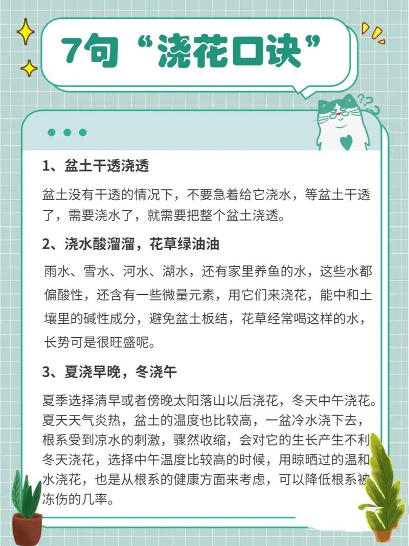 新手养花该注意什么(新手养花该注意什么问题)-第1张图片-花花知道网 新手养花该注意什么(新手养花该注意什么问题)-第1张图片-花花知道网