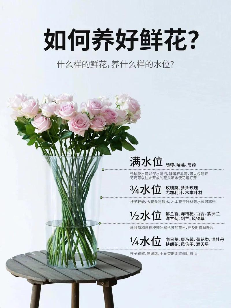 新手养花该注意什么(新手养花该注意什么问题)-第7张图片-花花知道网 新手养花该注意什么(新手养花该注意什么问题)-第7张图片-花花知道网