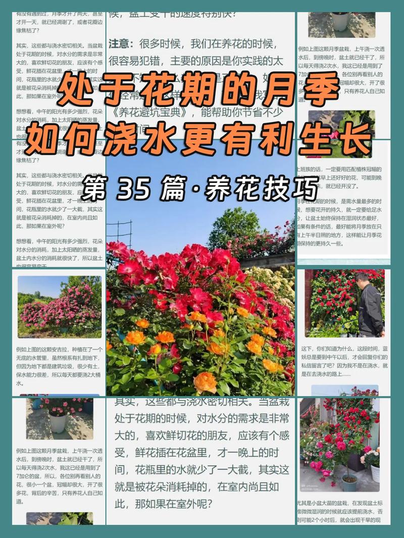 夏天这么浇水(夏天浇水什么时候浇更好)-第1张图片-花花知道网 夏天这么浇水(夏天浇水什么时候浇更好)-第1张图片-花花知道网