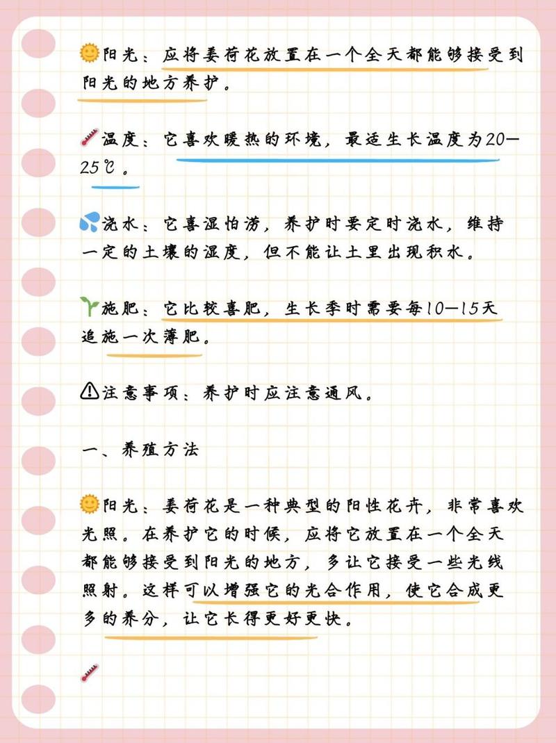 姜荷花怎么养(姜荷花怎么养护)-第3张图片-花花知道网 姜荷花怎么养(姜荷花怎么养护)-第3张图片-花花知道网