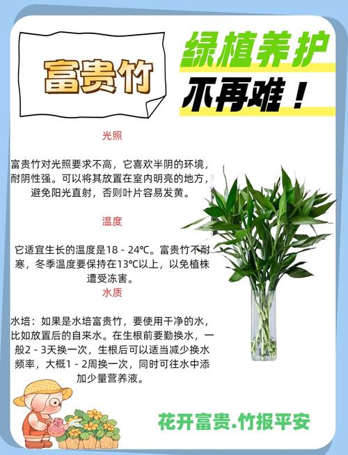 富贵竹可以土养吗(富贵竹放家里什么位置合适)-第5张图片-花花知道网 富贵竹可以土养吗(富贵竹放家里什么位置合适)-第5张图片-花花知道网