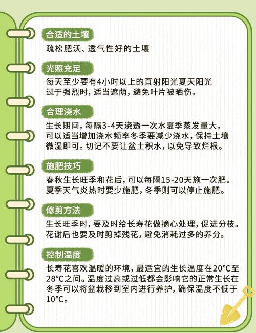 长寿花用什么水浇比较好(长寿花浇什么水比较好)-第4张图片-花花知道网 长寿花用什么水浇比较好(长寿花浇什么水比较好)-第4张图片-花花知道网