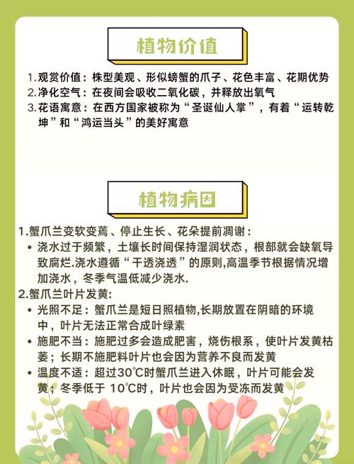 蟹爪兰秋天怎么养(蟹爪兰秋天怎么养才能开花)-第7张图片-花花知道网 蟹爪兰秋天怎么养(蟹爪兰秋天怎么养才能开花)-第7张图片-花花知道网