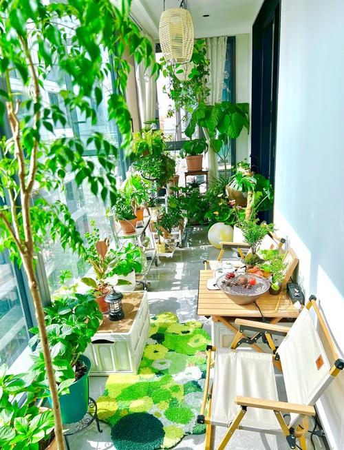 阳台种植什么植物好(阳台最旺宅的植物)-第1张图片-花花知道网 阳台种植什么植物好(阳台最旺宅的植物)-第1张图片-花花知道网