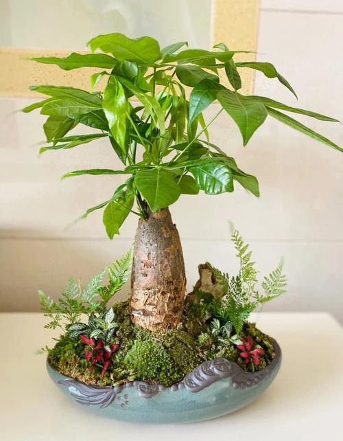 阳台种植什么植物好(阳台最旺宅的植物)-第3张图片-花花知道网 阳台种植什么植物好(阳台最旺宅的植物)-第3张图片-花花知道网