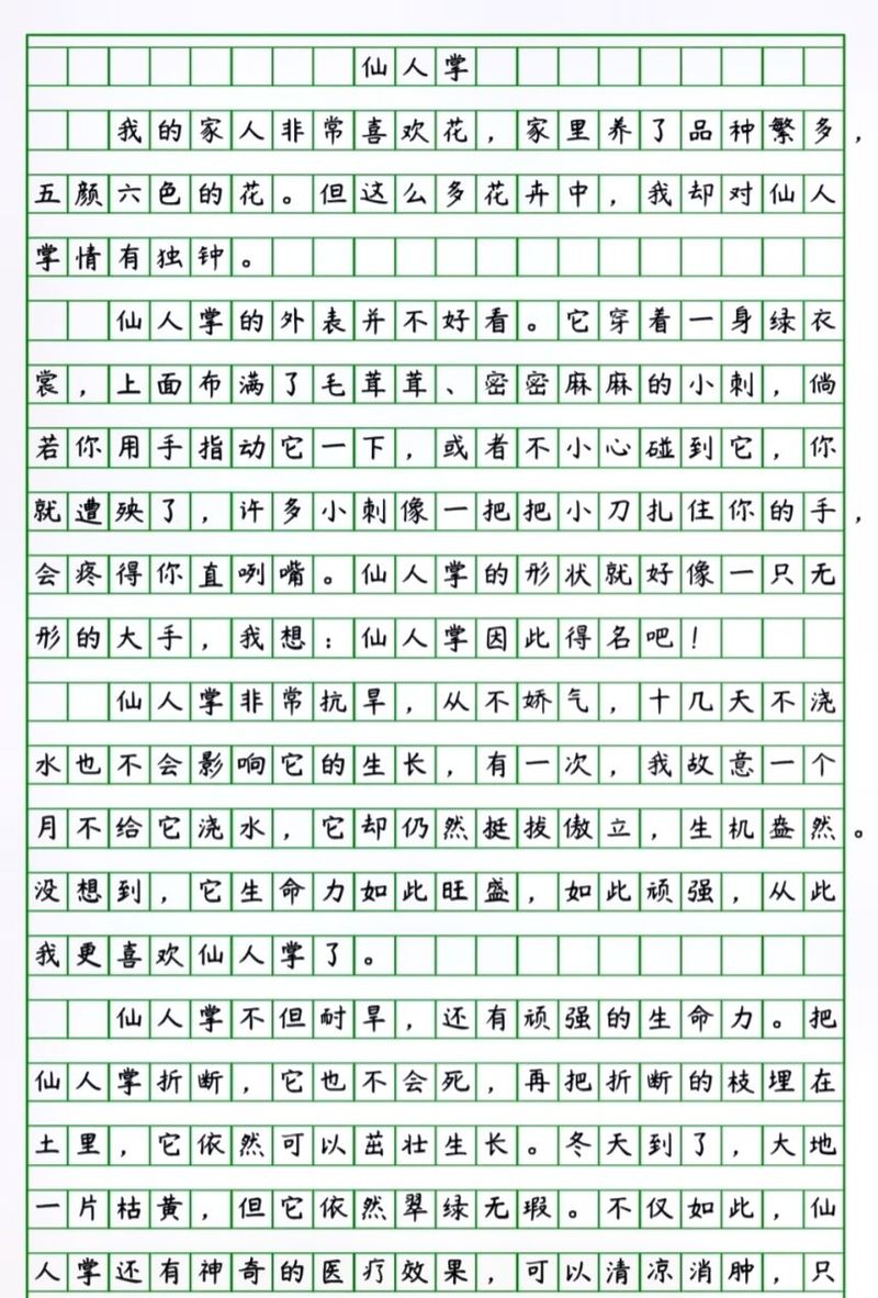 芦荟被她一刀两断后(芦荟砍一刀)-第5张图片-花花知道网 芦荟被她一刀两断后(芦荟砍一刀)-第5张图片-花花知道网