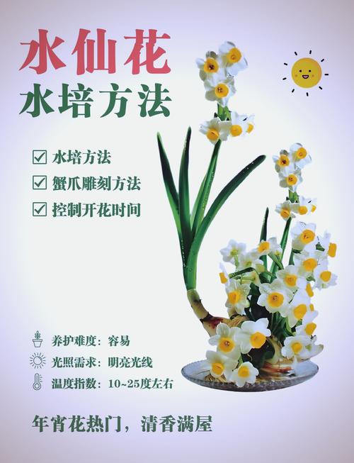 水培水仙花春天怎么办(水培水仙如何年年开花)-第2张图片-花花知道网 水培水仙花春天怎么办(水培水仙如何年年开花)-第2张图片-花花知道网