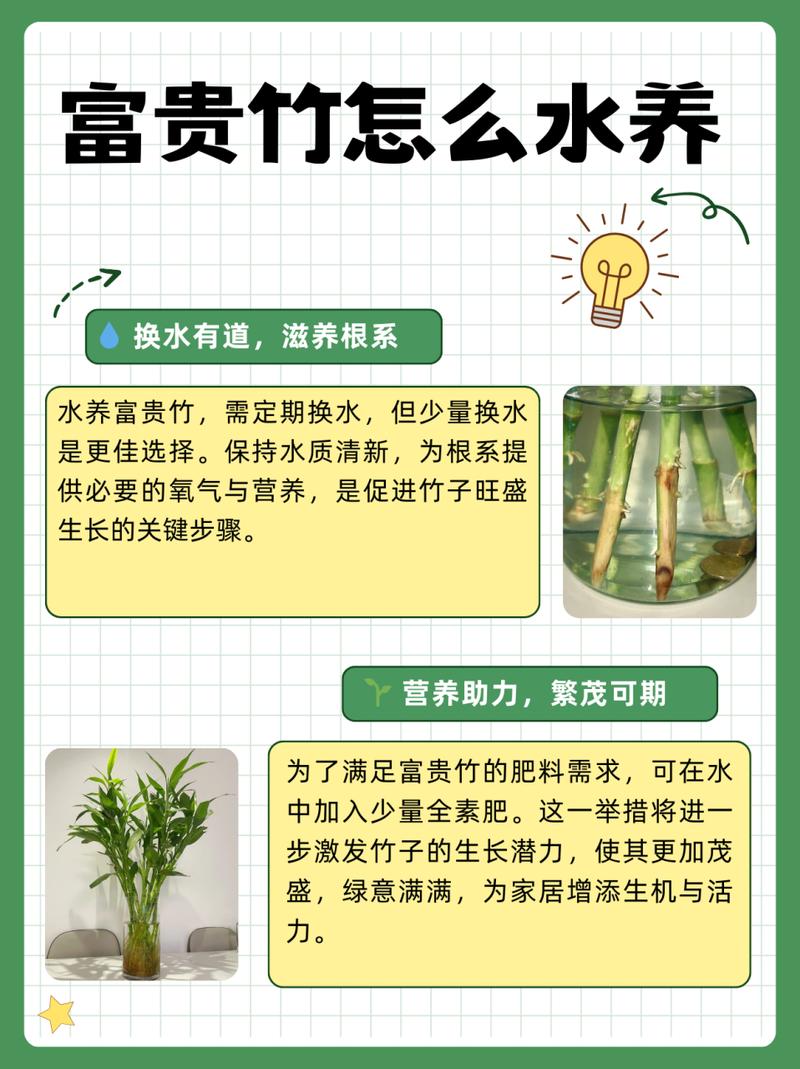 富贵竹水里可以养鱼吗(富贵竹养水里可以养多久)-第1张图片-花花知道网 富贵竹水里可以养鱼吗(富贵竹养水里可以养多久)-第1张图片-花花知道网
