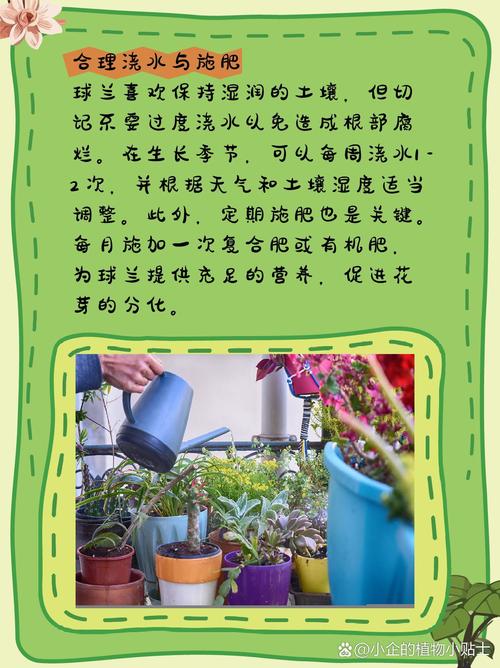 球兰秋天怎么养(球兰秋季可以换盆吗)-第5张图片-花花知道网 球兰秋天怎么养(球兰秋季可以换盆吗)-第5张图片-花花知道网