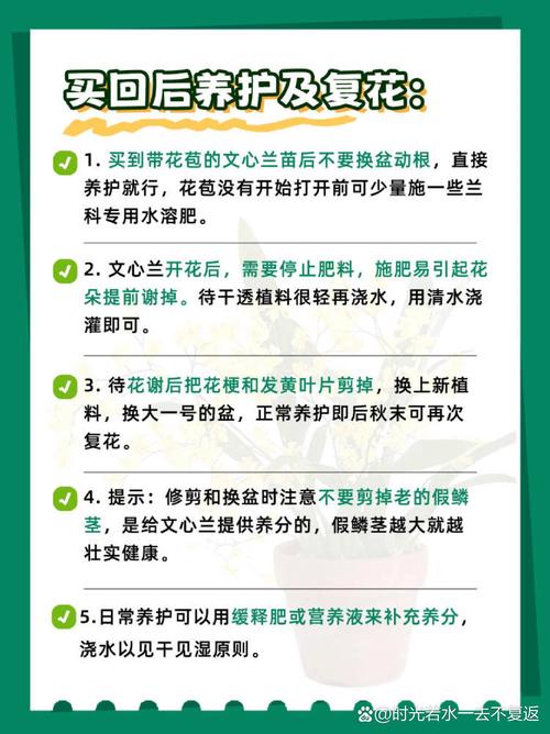 冬季鲜花养护的方法(冬季鲜花养护的方法有哪些)-第2张图片-花花知道网 冬季鲜花养护的方法(冬季鲜花养护的方法有哪些)-第2张图片-花花知道网