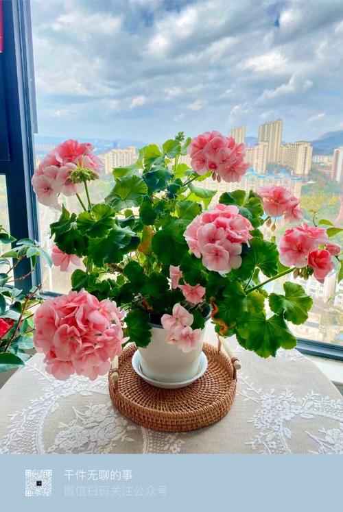 这3种花最爱“喝水”(什么花喜欢水图片大全)-第1张图片-花花知道网 这3种花最爱“喝水”(什么花喜欢水图片大全)-第1张图片-花花知道网