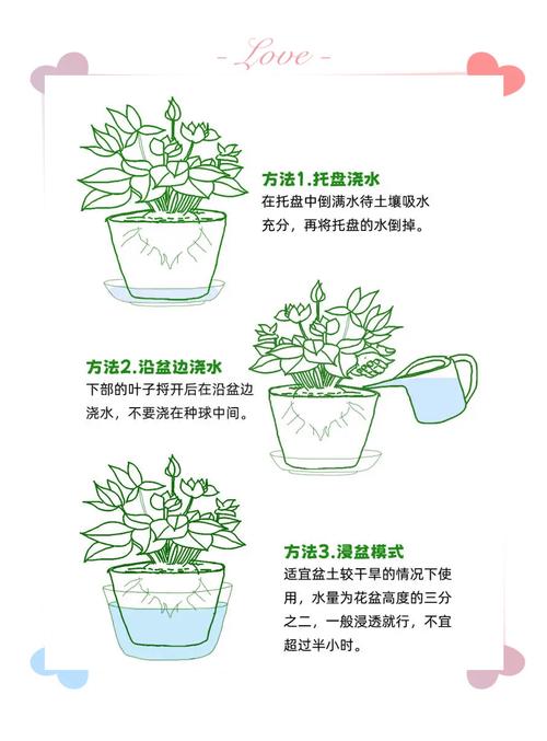仙客来秋天怎么养(仙客来立秋以后怎么养护)-第2张图片-花花知道网 仙客来秋天怎么养(仙客来立秋以后怎么养护)-第2张图片-花花知道网