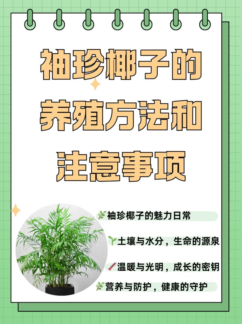 袖珍椰子怎么过冬(袖珍椰子过冬会冻死吗)-第1张图片-花花知道网 袖珍椰子怎么过冬(袖珍椰子过冬会冻死吗)-第1张图片-花花知道网