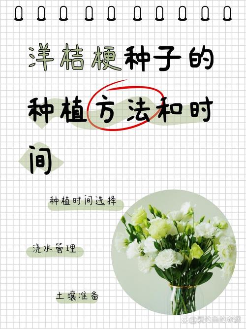 玫瑰洋桔梗···鲜花也能扦插(玫瑰花和洋桔梗怎么插)-第8张图片-花花知道网 玫瑰洋桔梗···鲜花也能扦插(玫瑰花和洋桔梗怎么插)-第8张图片-花花知道网