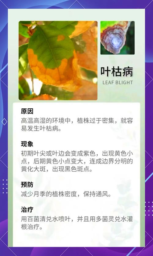 浇水时多做1件事(我想问一下浇水)-第1张图片-花花知道网 浇水时多做1件事(我想问一下浇水)-第1张图片-花花知道网