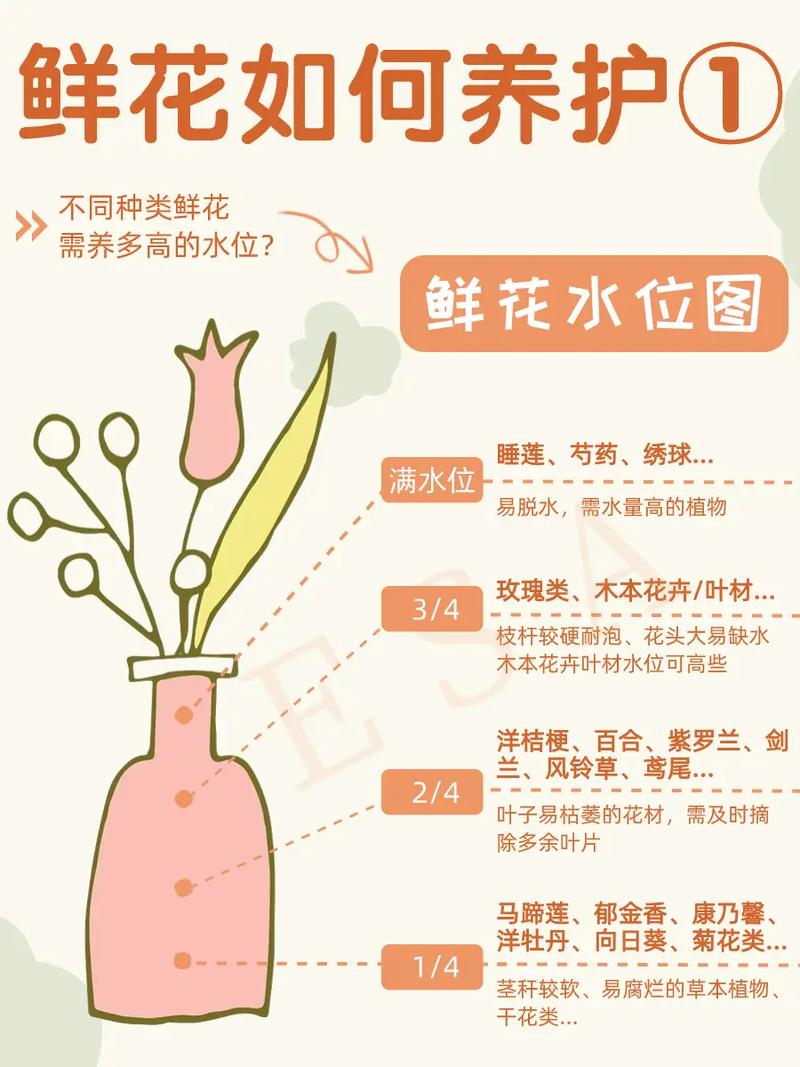 浇水时多做1件事(我想问一下浇水)-第7张图片-花花知道网 浇水时多做1件事(我想问一下浇水)-第7张图片-花花知道网