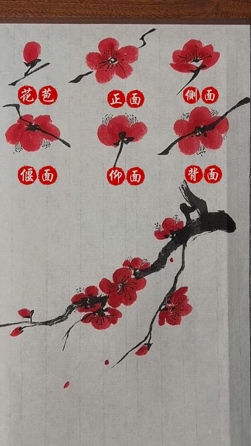如何使梅花在元旦开花(梅花怎么办)-第1张图片-花花知道网 如何使梅花在元旦开花(梅花怎么办)-第1张图片-花花知道网